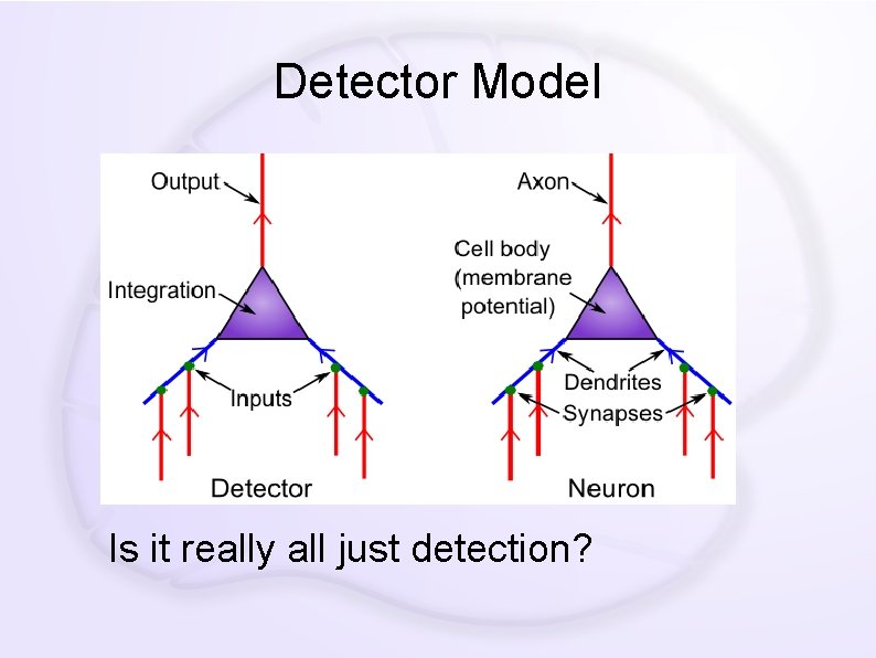 Detector Model Is it really all just detection? 