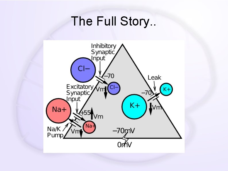 The Full Story. . 