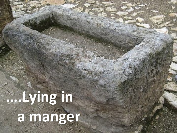 …. Lying in a manger 