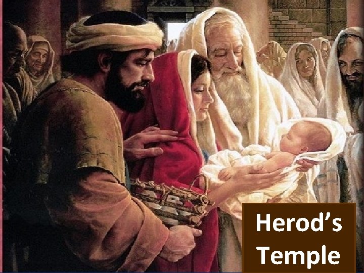 Herod’s Temple 
