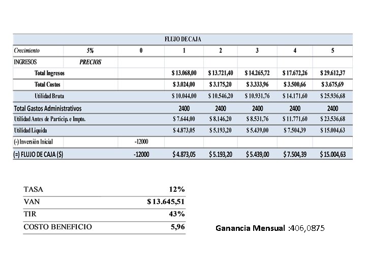 Ganancia Mensual : 406, 0875 