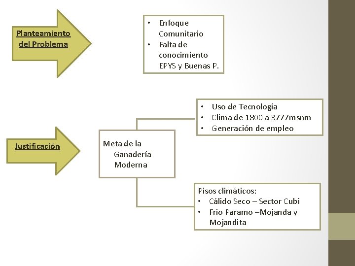 Planteamiento del Problema • Enfoque Comunitario • Falta de conocimiento EPYS y Buenas P.