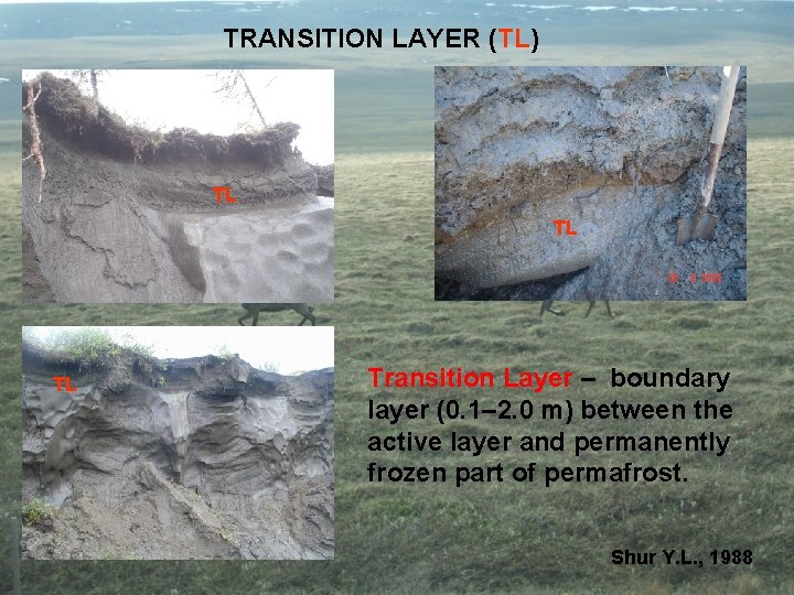 LongTerm Active Layer and Ground Surface Temperature Trends