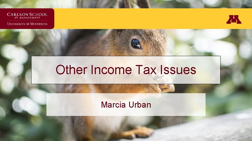 Other Income Tax Issues Marcia Urban 