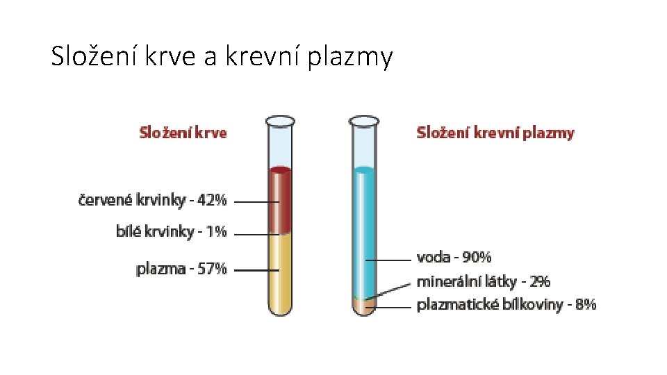 Složení krve a krevní plazmy 