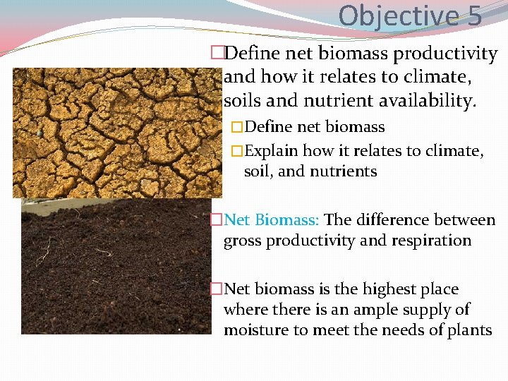 Objective 5 �Define net biomass productivity and how it relates to climate, soils and