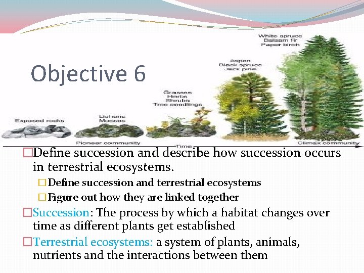 Objective 6 �Define succession and describe how succession occurs in terrestrial ecosystems. �Define succession
