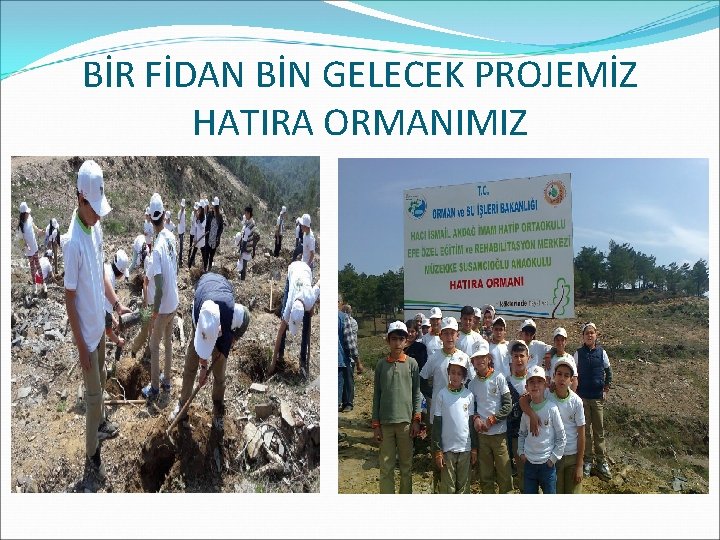 BİR FİDAN BİN GELECEK PROJEMİZ HATIRA ORMANIMIZ 