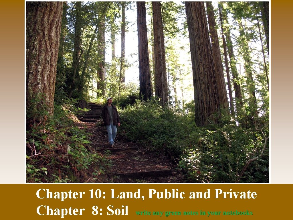 Chapter 10: Land, Public and Private Chapter 8: Soil write any green notes in