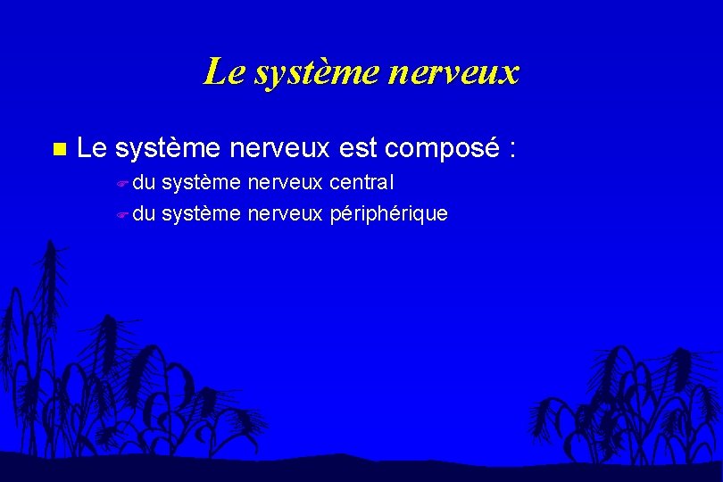 Le système nerveux n Le système nerveux est composé : F du système nerveux