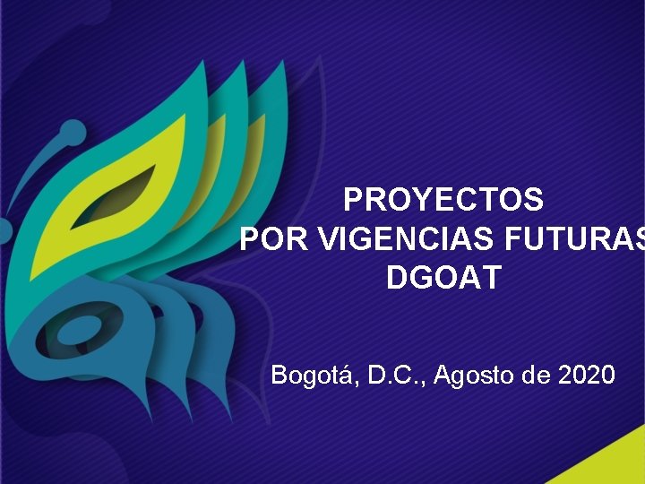 PROYECTOS POR VIGENCIAS FUTURAS DGOAT Bogotá, D. C. , Agosto de 2020 