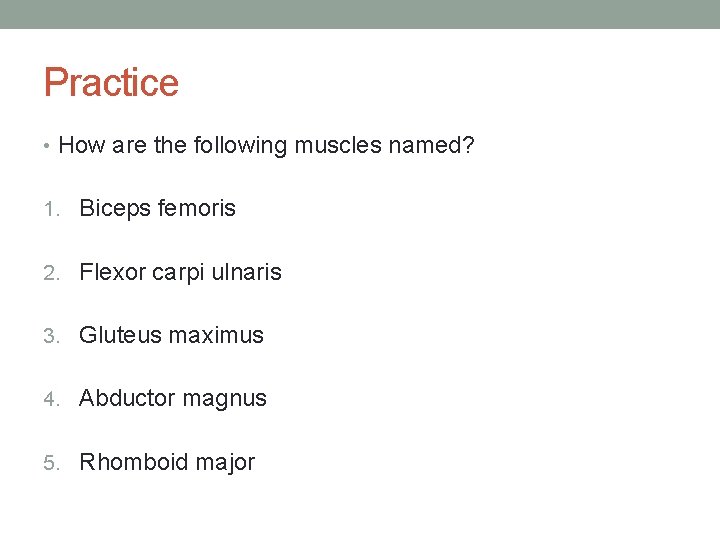 Practice • How are the following muscles named? 1. Biceps femoris 2. Flexor carpi