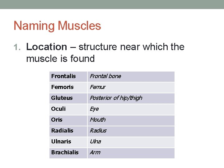 Naming Muscles 1. Location – structure near which the muscle is found Frontalis Frontal