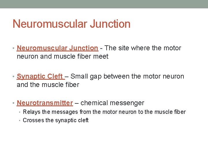 Neuromuscular Junction • Neuromuscular Junction - The site where the motor neuron and muscle