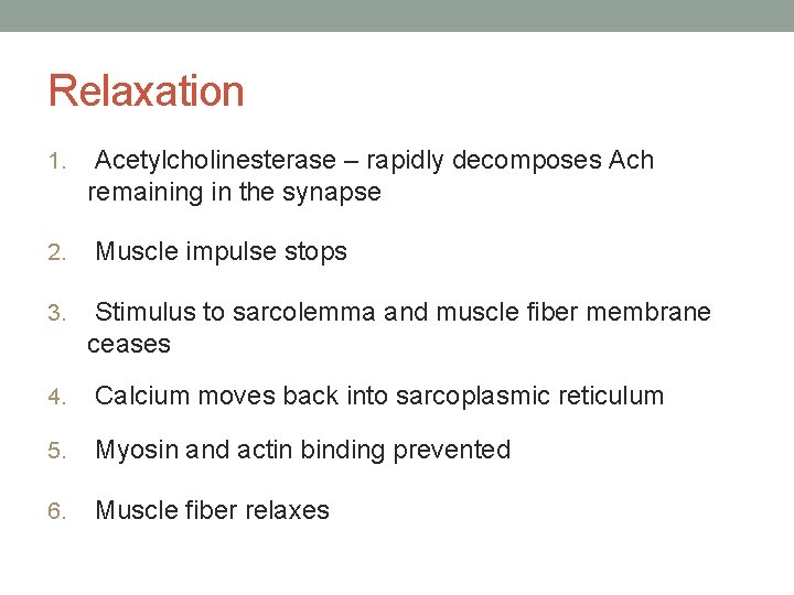 Relaxation 1. 2. 3. Acetylcholinesterase – rapidly decomposes Ach remaining in the synapse Muscle