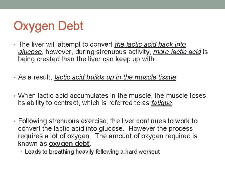 Oxygen Debt • The liver will attempt to convert the lactic acid back into