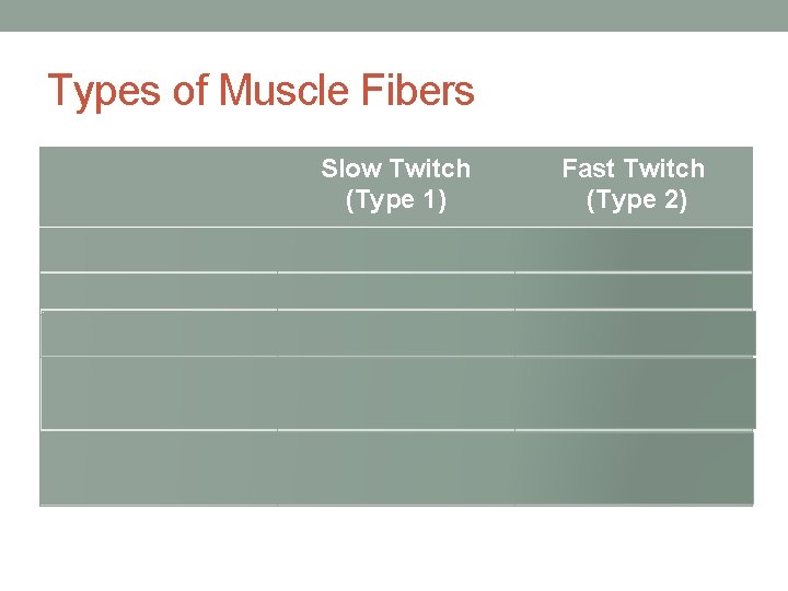 Types of Muscle Fibers Slow Twitch (Type 1) Fast Twitch (Type 2) Amt. of Types of Muscle Fibers Slow Twitch (Type 1) Fast Twitch (Type 2) Amt. of