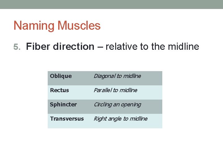 Naming Muscles 5. Fiber direction – relative to the midline Oblique Diagonal to midline