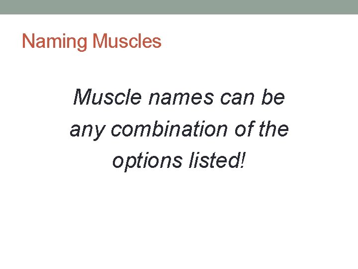 Naming Muscles Muscle names can be any combination of the options listed! 