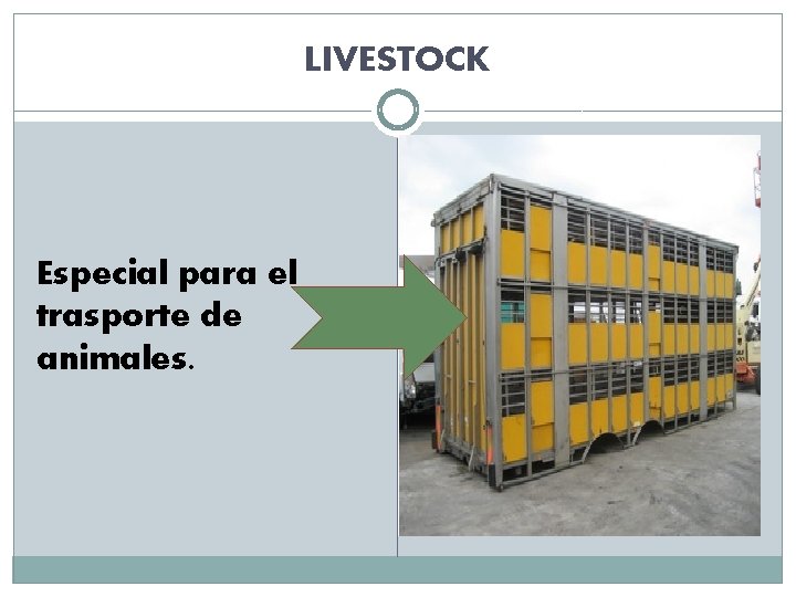 LIVESTOCK Especial para el trasporte de animales. 