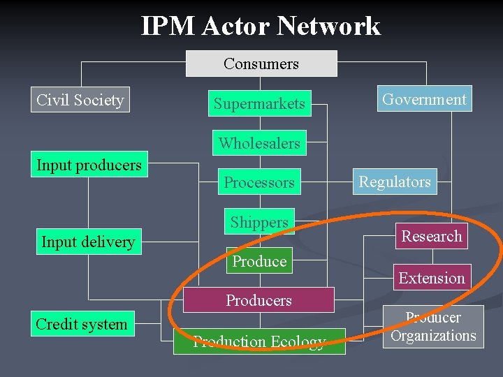 IPM Actor Network Consumers Civil Society Supermarkets Government Wholesalers Input producers Processors Shippers Input