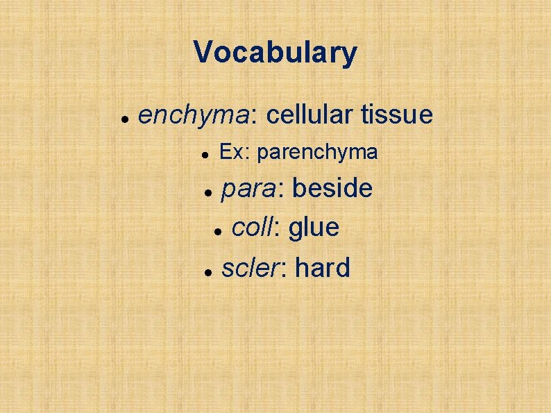 Vocabulary enchyma: cellular tissue Ex: parenchyma para: beside coll: glue scler: hard 