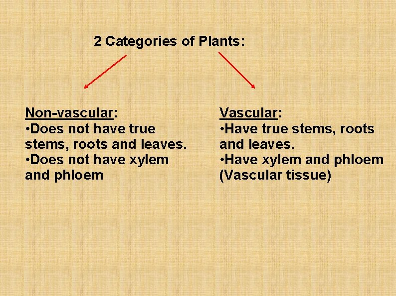 2 Categories of Plants: Non-vascular: • Does not have true stems, roots and leaves.