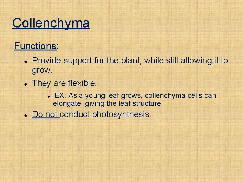 Collenchyma Functions: Provide support for the plant, while still allowing it to grow. They