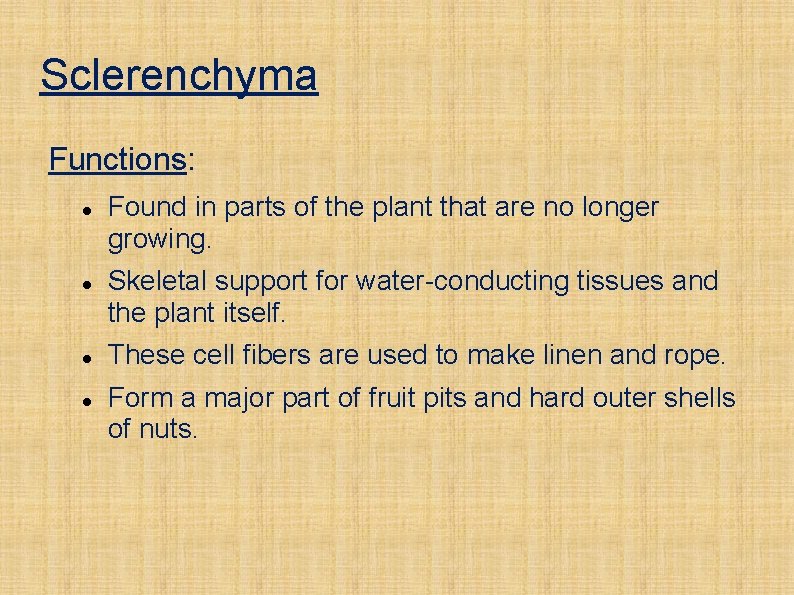 Sclerenchyma Functions: Found in parts of the plant that are no longer growing. Skeletal