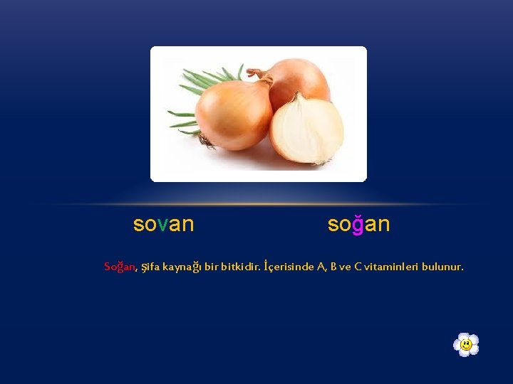 sovan soğan Soğan, şifa kaynağı bir bitkidir. İçerisinde A, B ve C vitaminleri bulunur.