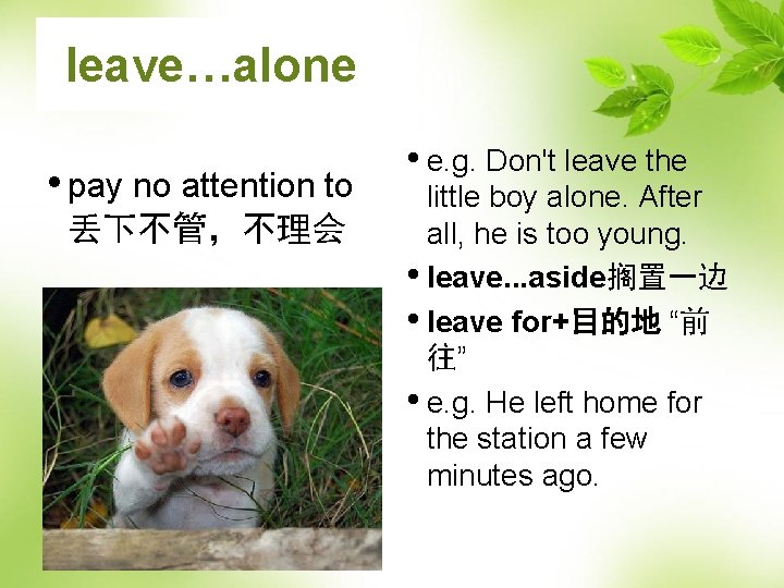 leave…alone • pay no attention to 丢下不管，不理会 • e. g. Don't leave the little