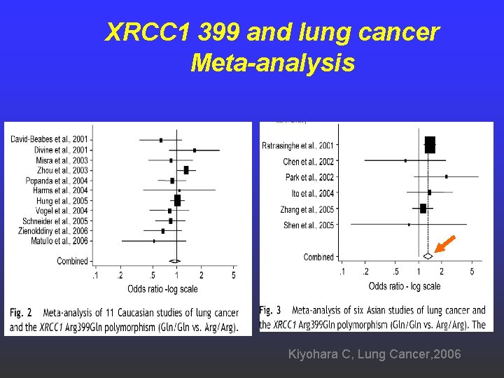 XRCC 1 399 and lung cancer Meta-analysis Kiyohara C, Lung Cancer, 2006 