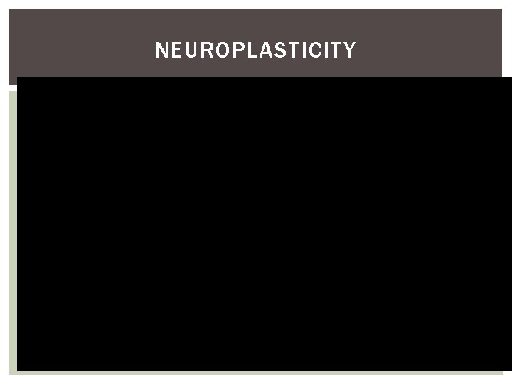 NEUROPLASTICITY 35 NEUROPLASTICITY 35