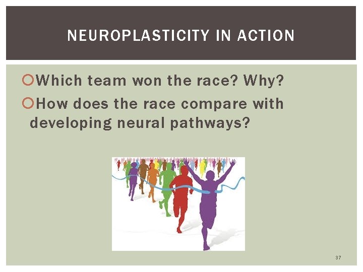 NEUROPLASTICITY IN ACTION Which team won the race? Why? How does the race compare NEUROPLASTICITY IN ACTION Which team won the race? Why? How does the race compare