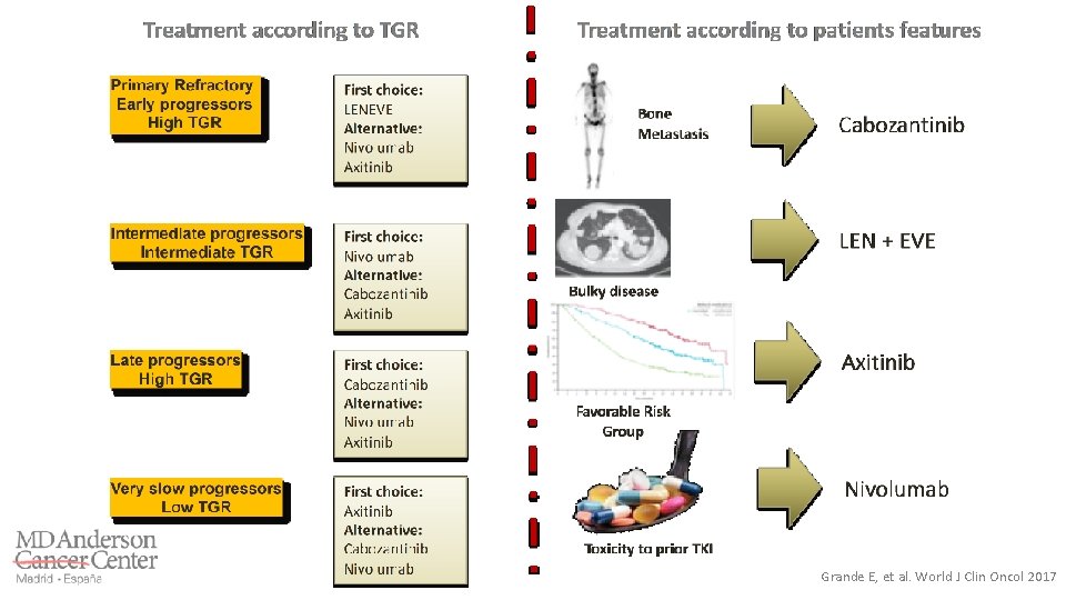 Grande E, et al. World J Clin Oncol 2017 