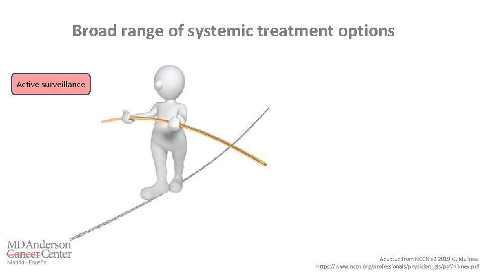 Broad range of systemic treatment options Active surveillance Adapted from NCCN v 2. 2019