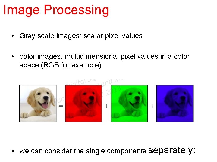 Image Processing • Gray scale images: scalar pixel values • color images: multidimensional pixel