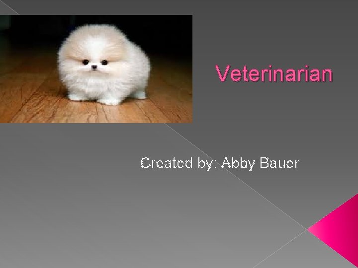 Veterinarian Created by: Abby Bauer 