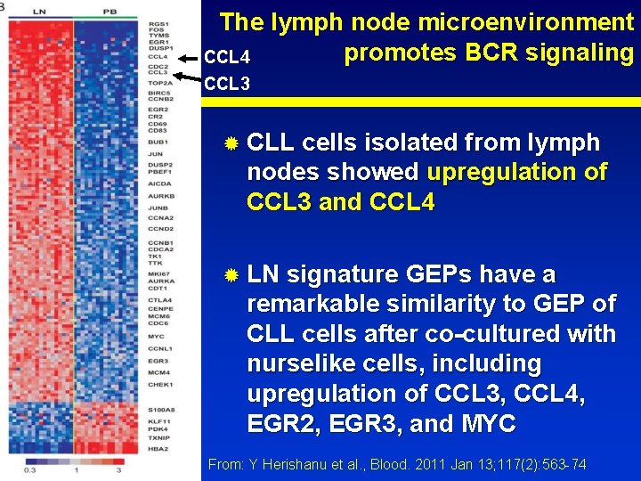 The lymph node microenvironment promotes BCR signaling CCL 4 CCL 3 ® CLL cells