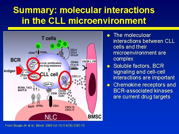 Summary: molecular interactions in the CLL microenvironment ® ® ® From: Burger JA et