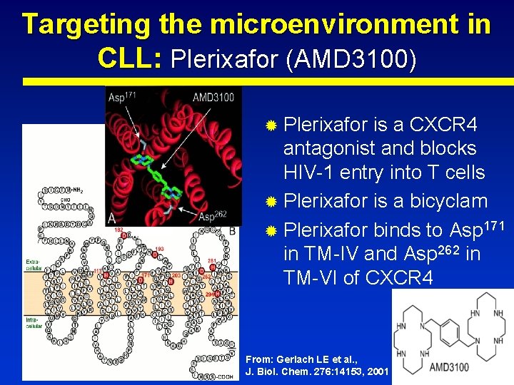 Targeting the microenvironment in CLL: Plerixafor (AMD 3100) Plerixafor is a CXCR 4 antagonist