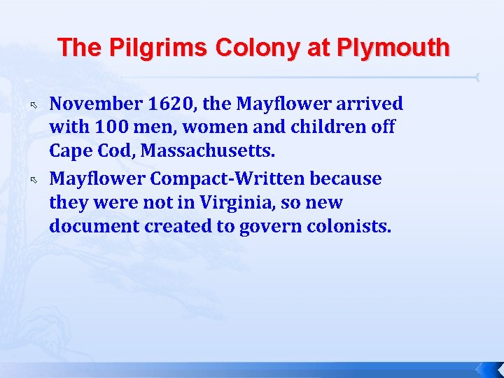 The Pilgrims Colony at Plymouth November 1620, the Mayflower arrived with 100 men, women
