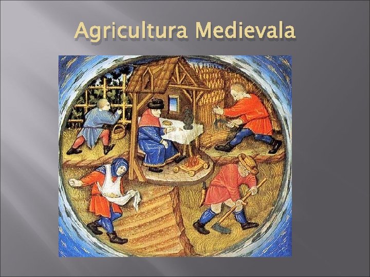 Agricultura Medievala 