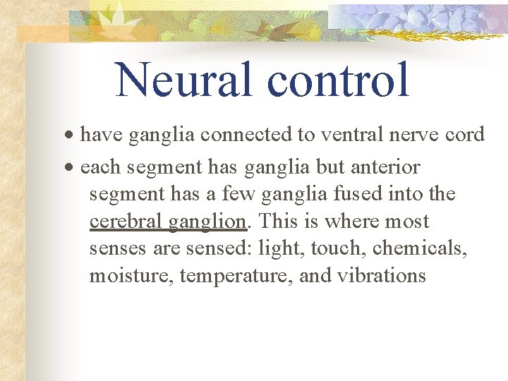 Neural control · have ganglia connected to ventral nerve cord · each segment has