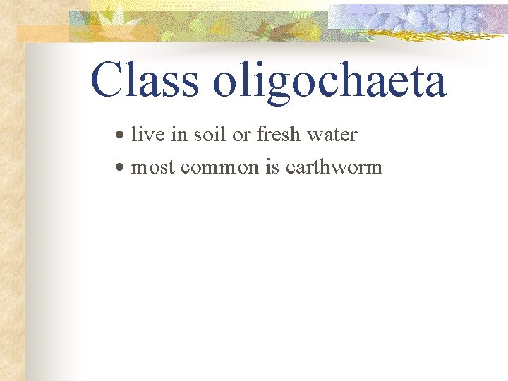 Class oligochaeta · live in soil or fresh water · most common is earthworm