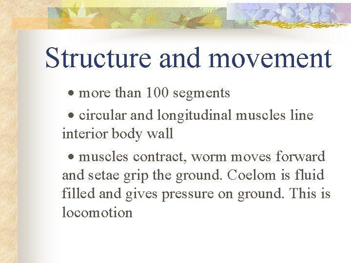 Structure and movement · more than 100 segments · circular and longitudinal muscles line