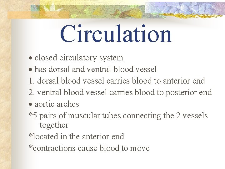 Circulation · closed circulatory system · has dorsal and ventral blood vessel 1. dorsal