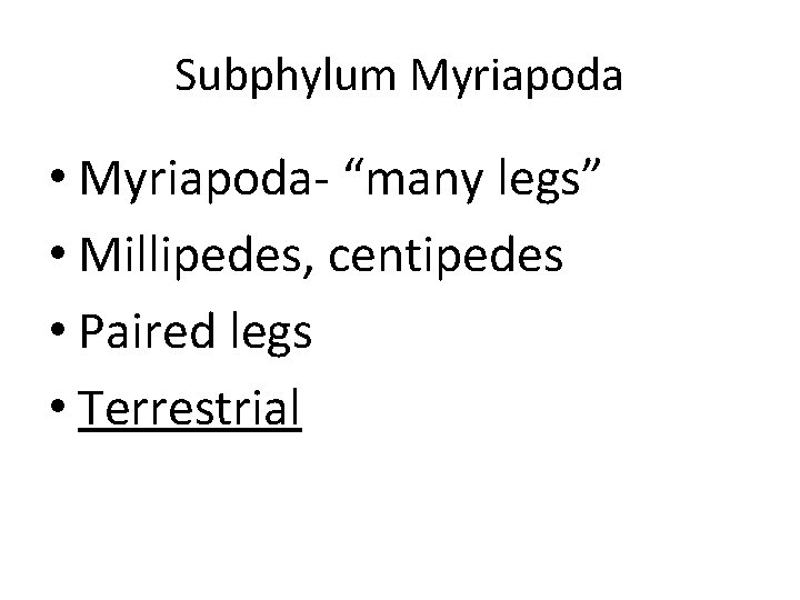 Subphylum Myriapoda • Myriapoda- “many legs” • Millipedes, centipedes • Paired legs • Terrestrial