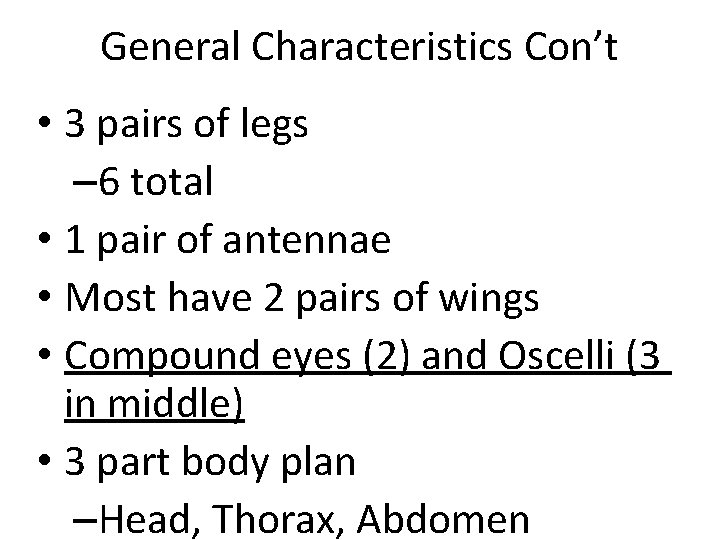 General Characteristics Con’t • 3 pairs of legs – 6 total • 1 pair