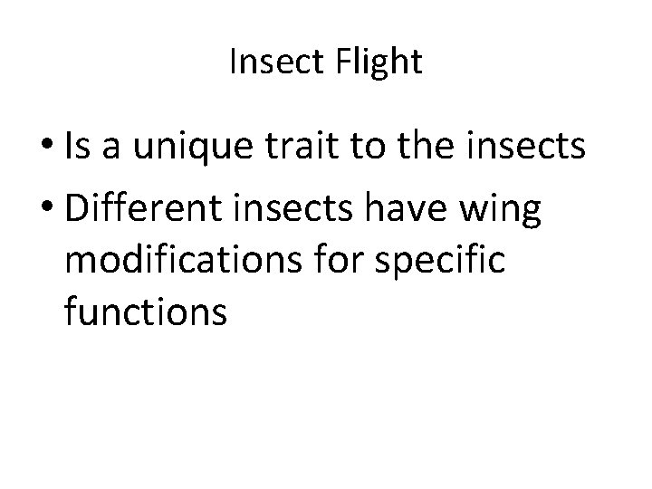 Insect Flight • Is a unique trait to the insects • Different insects have